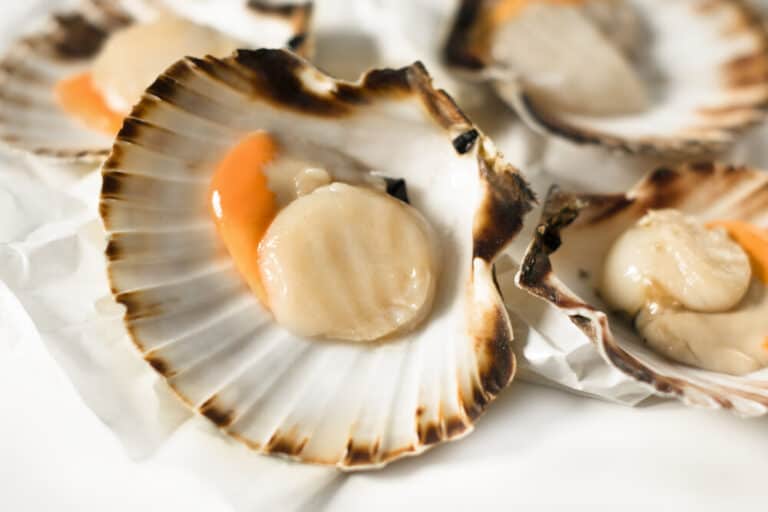 What Do Scallops Taste Like? [Definitive Guide] Medmunch