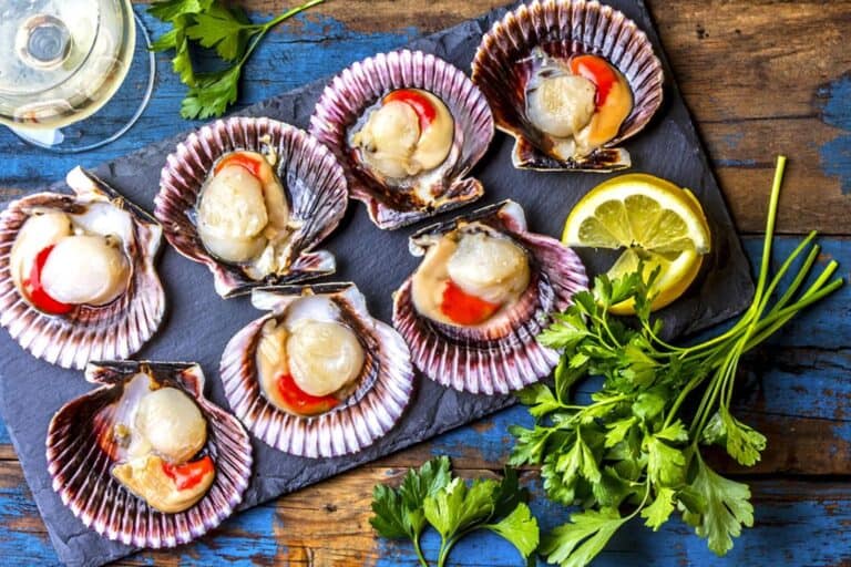What Do Scallops Taste Like? [Definitive Guide] Medmunch