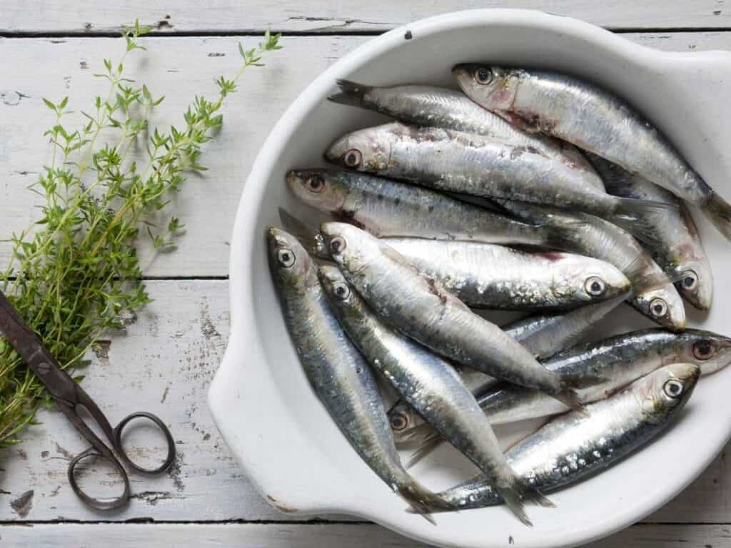 What Do Sardines Taste Like? [Definitive Guide] Medmunch