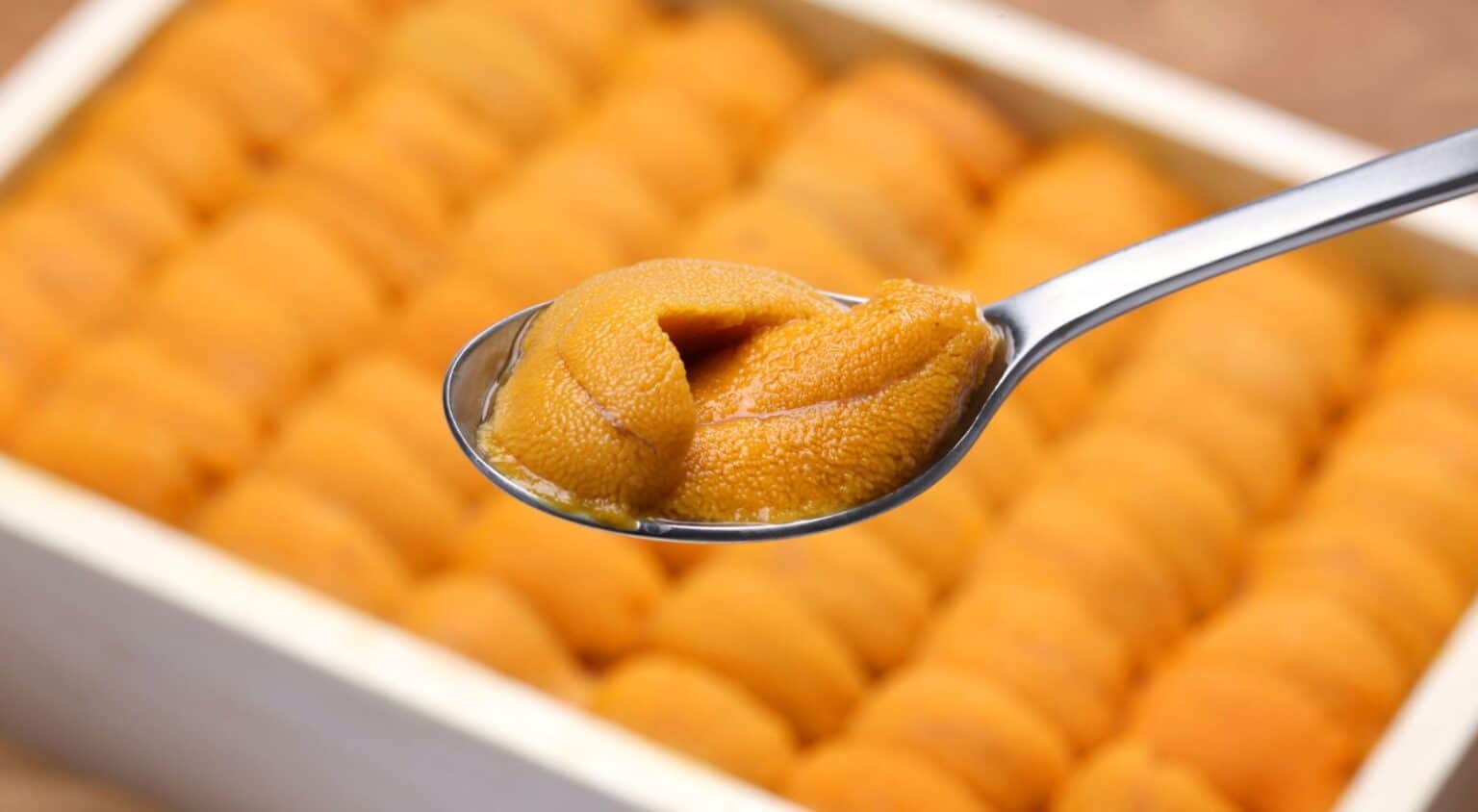 What Does Sea Urchin (Uni) Taste Like? [Definitive Guide] Medmunch