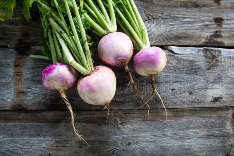 What Do Turnips Taste Like? [Definitive Guide] Medmunch