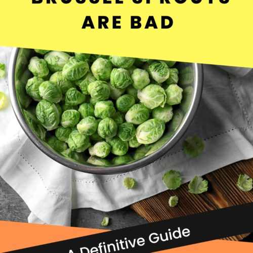 How to Tell If Balsamic Vinegar is Bad Medmunch